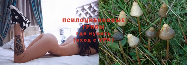 дживик Белоозёрский