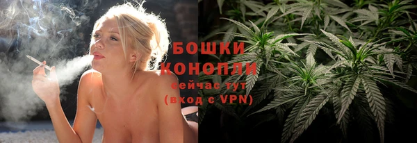 не бодяженный Белокуриха
