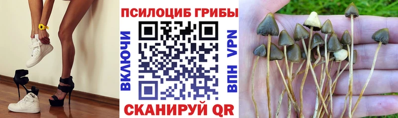 Галлюциногенные грибы ЛСД  Вязьма 